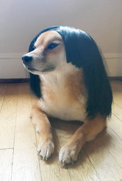 morning picdump 50 pics 4.html - 50 HD Photos | Premium Gallery 2017