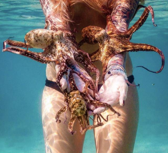 morning picdump 50 pics 4.html - 50 HD Photos | Premium Gallery 2017