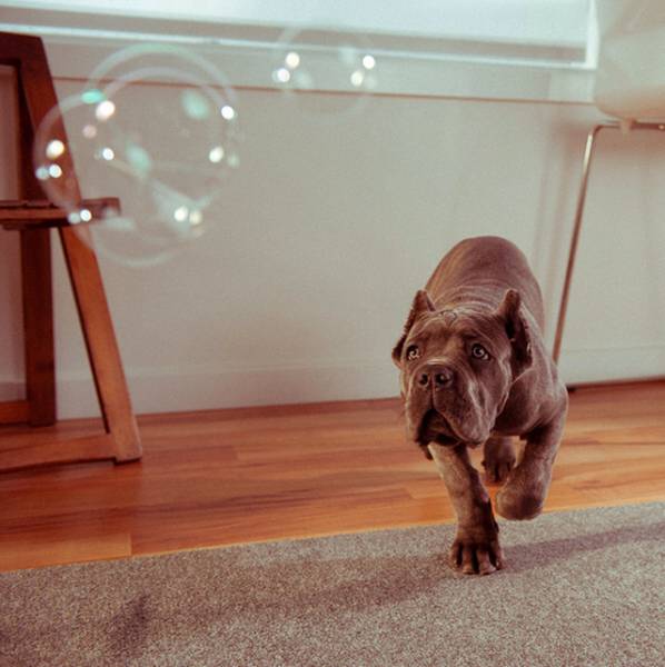 morning picdump 50 pics 4.html - 50 HD Photos | Premium Gallery 2017