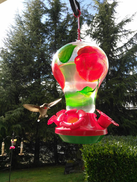 morning picdump 50 pics 4.html - 50 HD Photos | Premium Gallery 2017