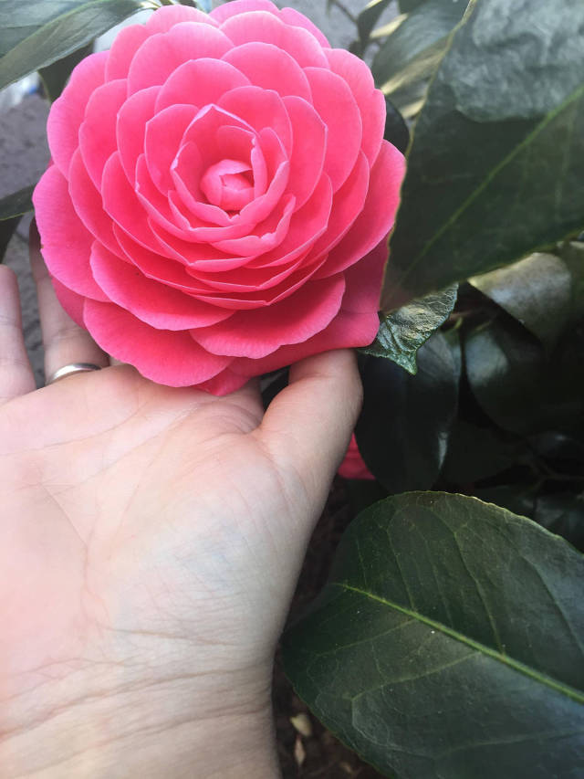 morning picdump 50 pics 4.html - 50 HD Photos | Premium Gallery 2017