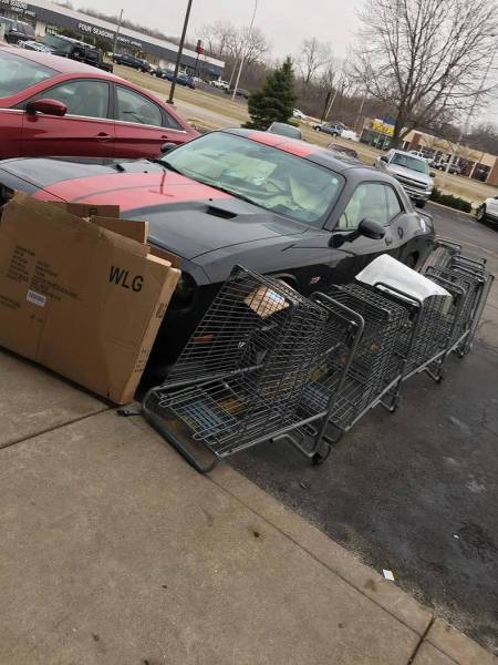 daily picdump 101 pics 2.html - 101 HD Photos | Premium Gallery 2017