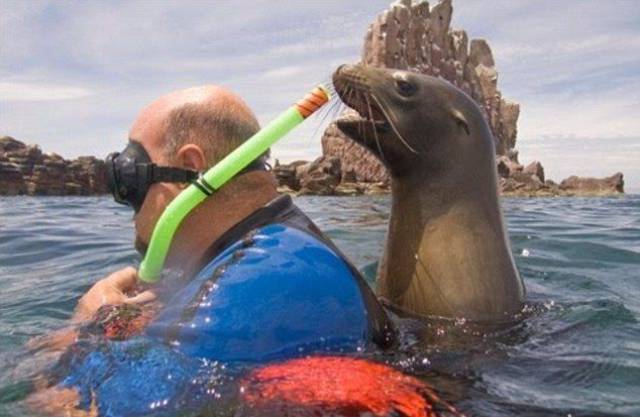 daily picdump 101 pics 2.html - 101 HD Photos | Premium Gallery 2017