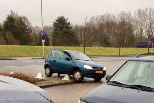 daily picdump 101 pics 2.html - 101 HD Photos | Premium Gallery 2017