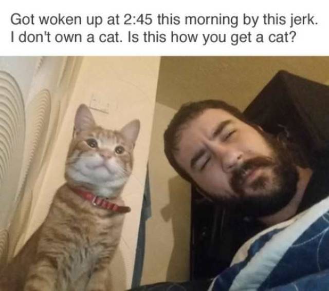 daily picdump 101 pics 2.html - 101 HD Photos | Premium Gallery 2017