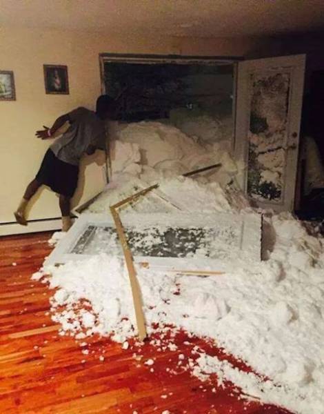 daily picdump 101 pics 2.html - 101 HD Photos | Premium Gallery 2017