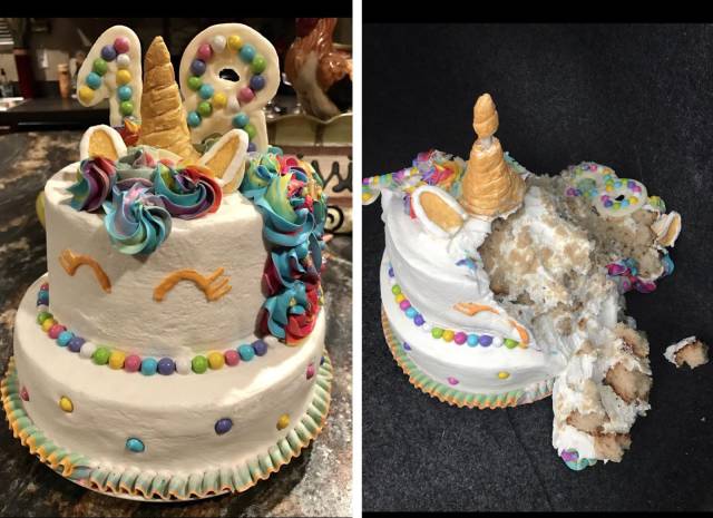 daily picdump 101 pics 2.html - 101 HD Photos | Premium Gallery 2017