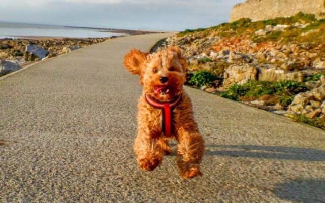 daily picdump 101 pics 2.html - 101 HD Photos | Premium Gallery 2017