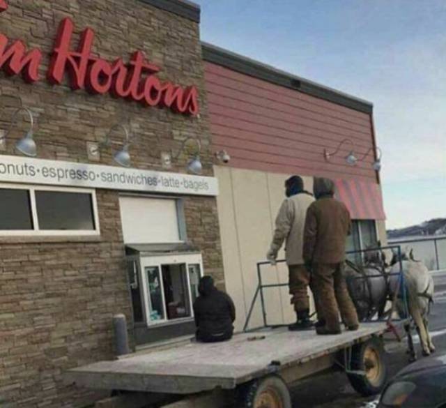 daily picdump 101 pics 2.html - 101 HD Photos | Premium Gallery 2017