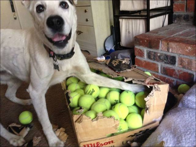 daily picdump 97 pics 10.html - 97 HD Photos | Premium Gallery 2017