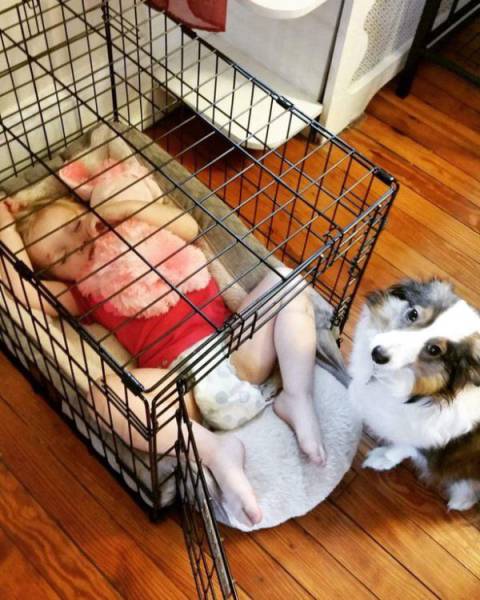 daily picdump 97 pics 10.html - 97 HD Photos | Premium Gallery 2017