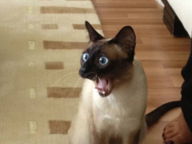 daily picdump 97 pics 10.html - 97 HD Photos | Premium Gallery 2017