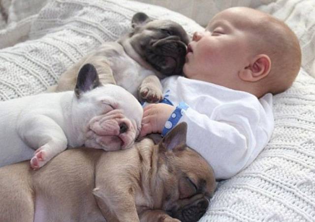daily picdump 97 pics 10.html - 97 HD Photos | Premium Gallery 2017