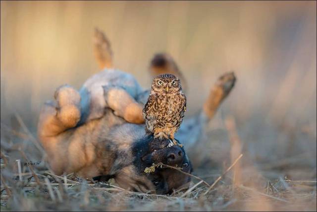 daily picdump 97 pics 10.html - 97 HD Photos | Premium Gallery 2017
