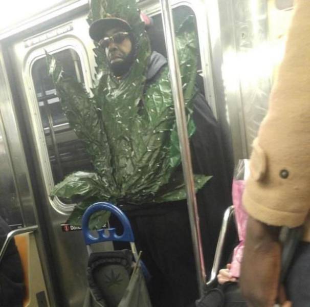 daily picdump 97 pics 10.html - 97 HD Photos | Premium Gallery 2017