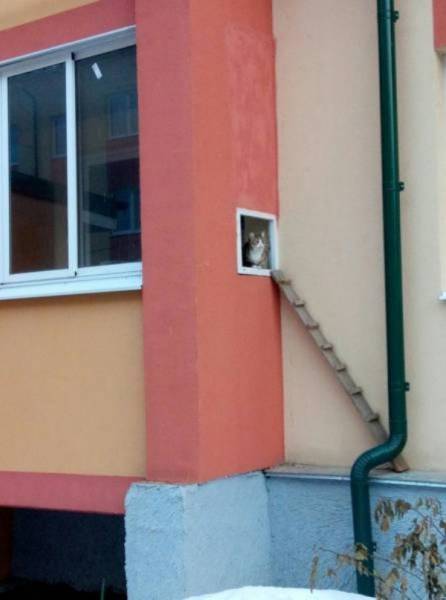 daily picdump 97 pics 10.html - 97 HD Photos | Premium Gallery 2017