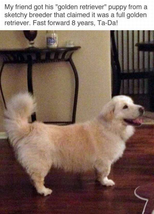 daily picdump 97 pics 10.html - 97 HD Photos | Premium Gallery 2017