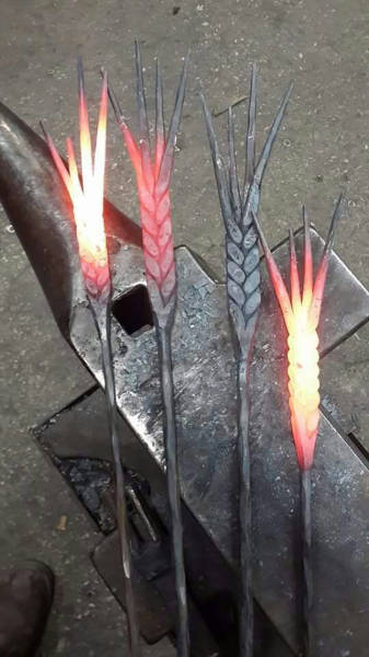 Morning Picdump