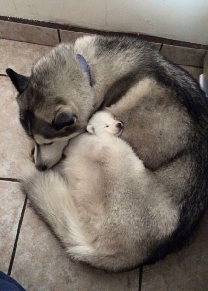 Morning Picdump