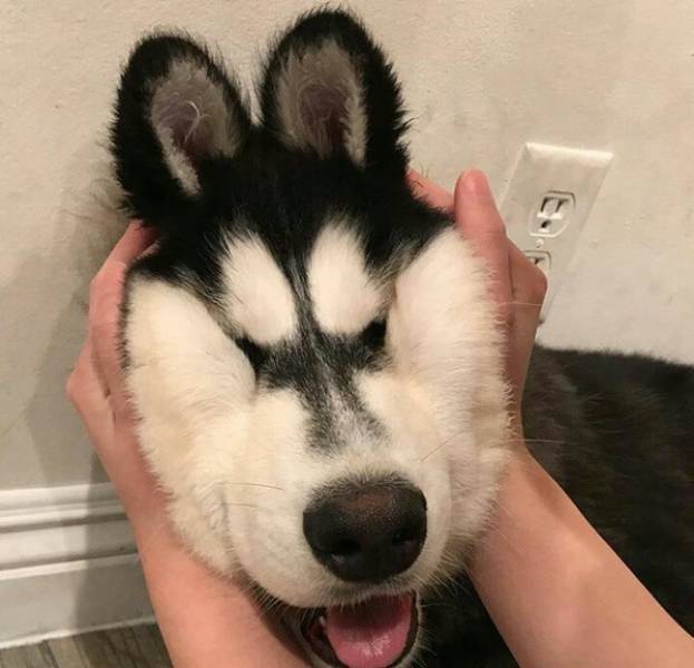 Morning Picdump
