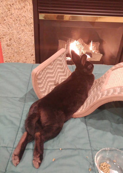 Morning Picdump