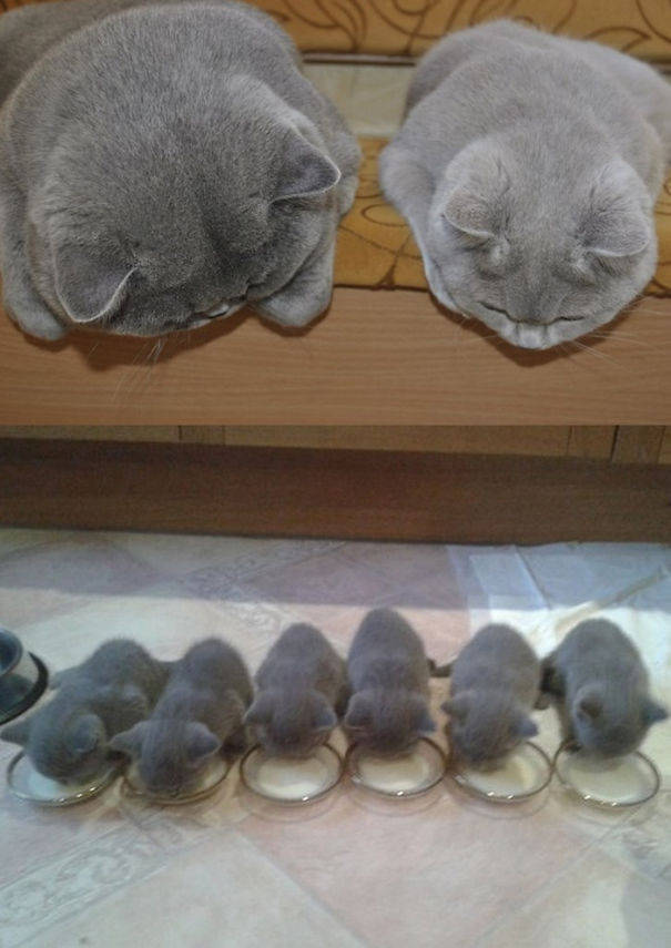 Morning Picdump