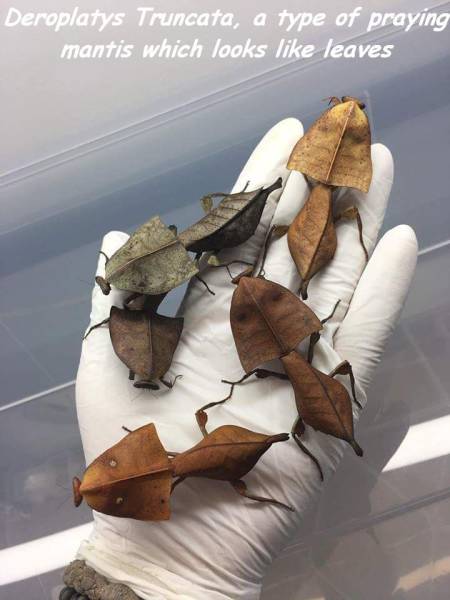 Daily Picdump [WEEKEND EDITION]