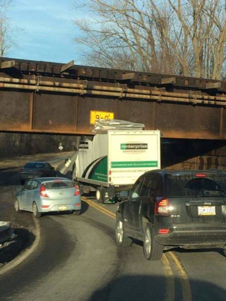 Daily Picdump [WEEKEND EDITION]