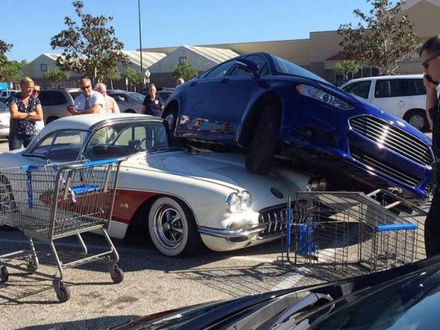 Daily Picdump [WEEKEND EDITION]