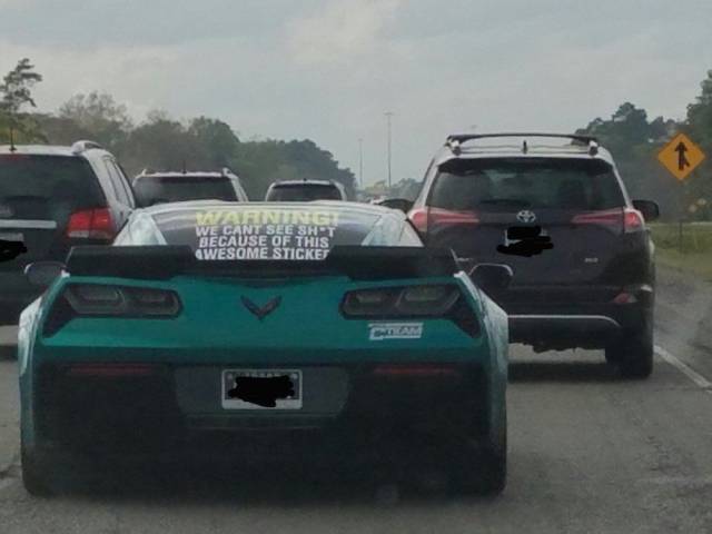 daily picdump weekend edition 64 pics 2.html - 64 HD Photos | Premium Gallery 2017