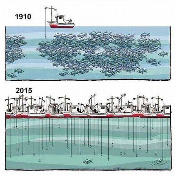 daily picdump weekend edition 64 pics 2.html - 64 HD Photos | Premium Gallery 2017