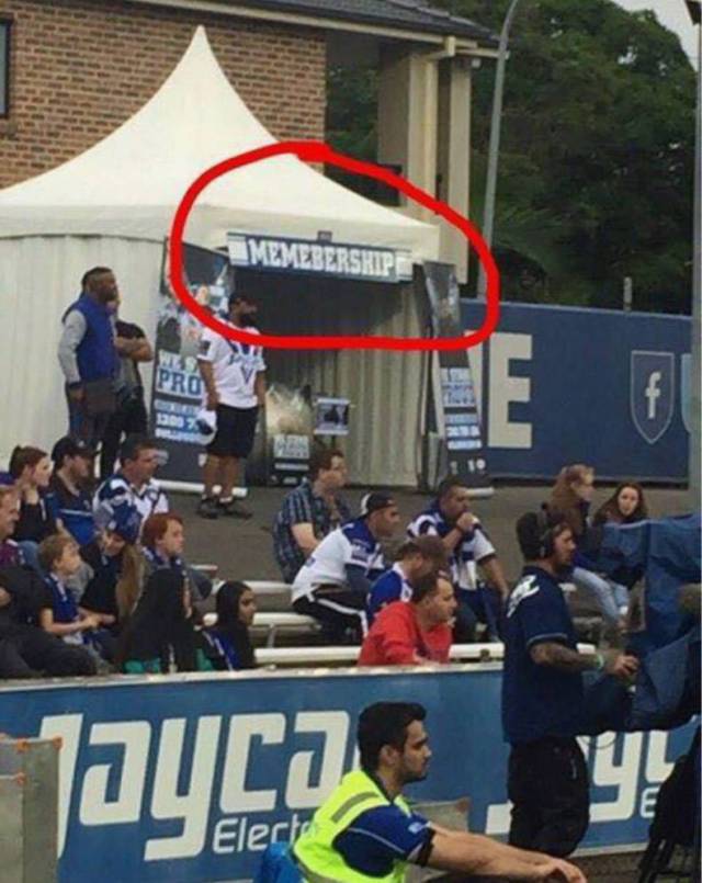 daily picdump weekend edition 64 pics 2.html - 64 HD Photos | Premium Gallery 2017