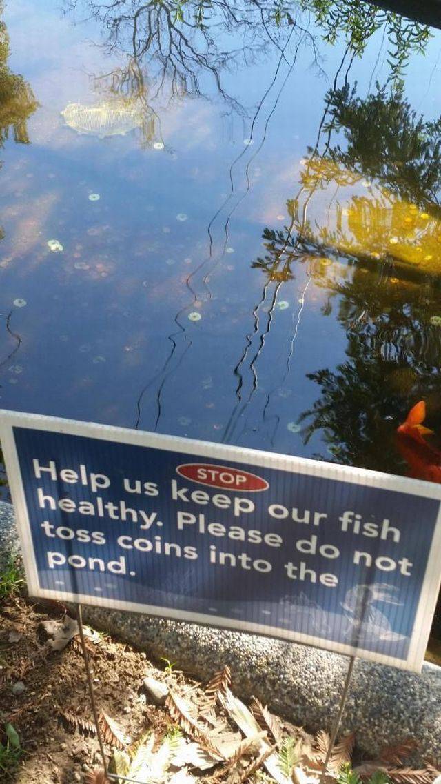 daily picdump weekend edition 64 pics 2.html - 64 HD Photos | Premium Gallery 2017