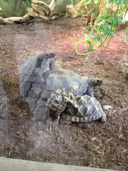 daily picdump 101 pics 2.html - 101 HD Photos | Premium Gallery 2017