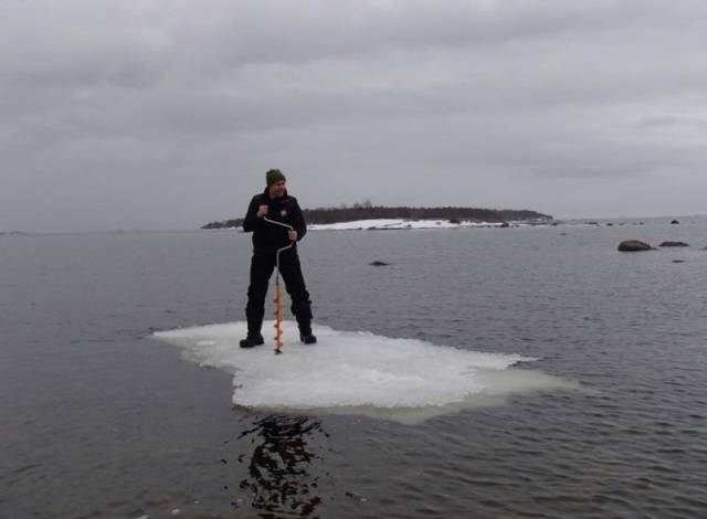 daily picdump 101 pics 2.html - 101 HD Photos | Premium Gallery 2017