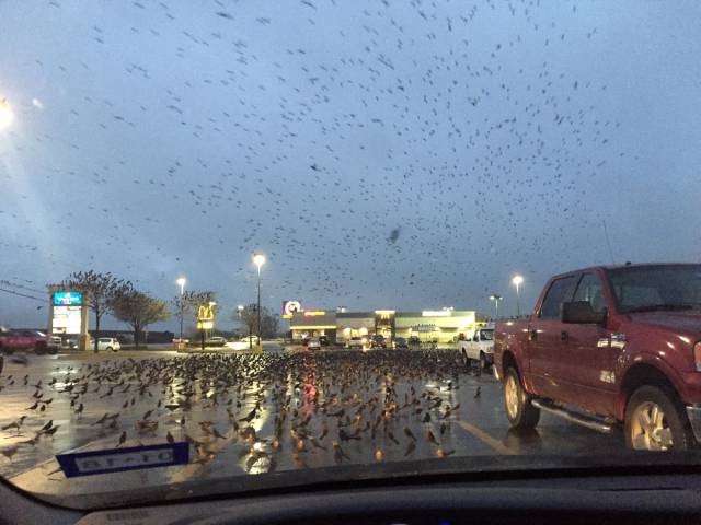 daily picdump 101 pics 2.html - 101 HD Photos | Premium Gallery 2017