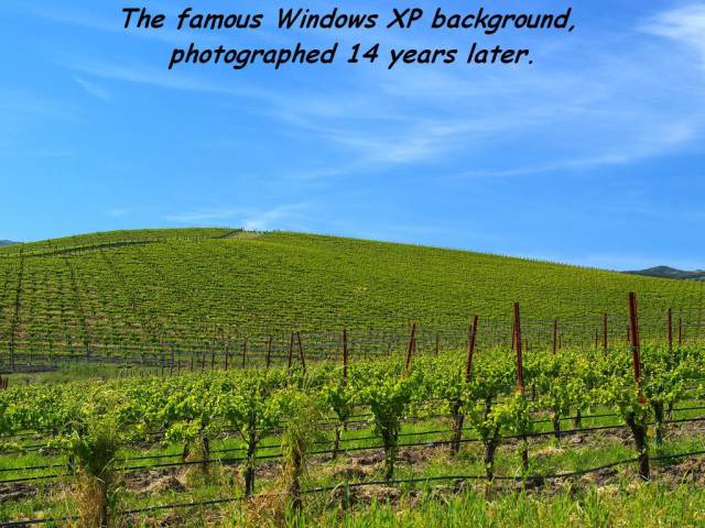 daily picdump 101 pics 2.html - 101 HD Photos | Premium Gallery 2017