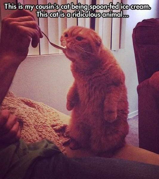 daily picdump 101 pics 2.html - 101 HD Photos | Premium Gallery 2017