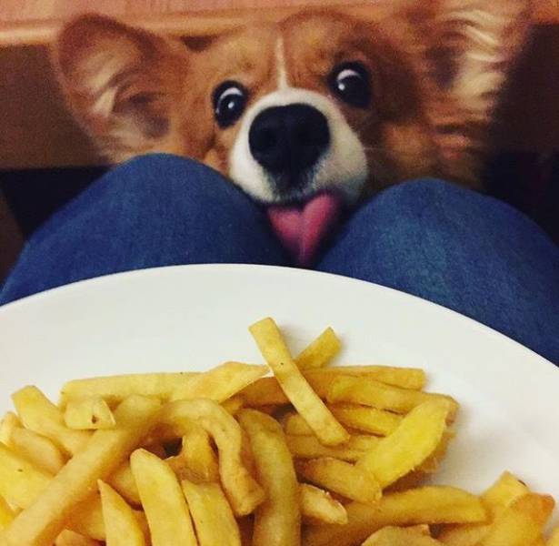 daily picdump 101 pics 2.html - 101 HD Photos | Premium Gallery 2017