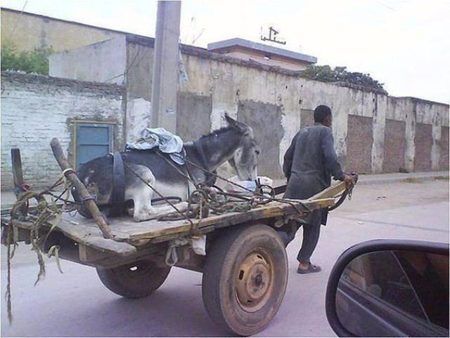 daily picdump 96 pics 30.html - 96 HD Photos | Premium Gallery 2017