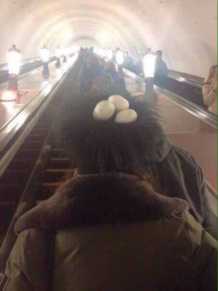 daily picdump 96 pics 30.html - 96 HD Photos | Premium Gallery 2017