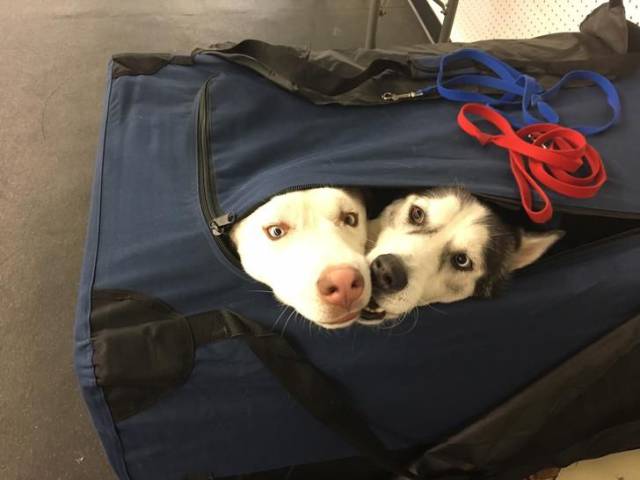 daily picdump 96 pics 30.html - 96 HD Photos | Premium Gallery 2017