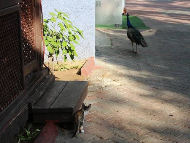 daily picdump 96 pics 30.html - 96 HD Photos | Premium Gallery 2017