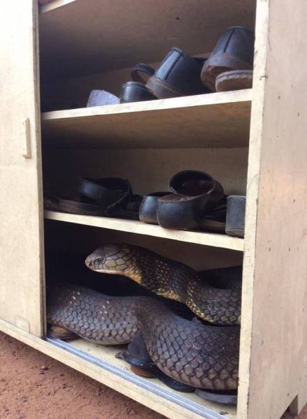 daily picdump 96 pics 30.html - 96 HD Photos | Premium Gallery 2017