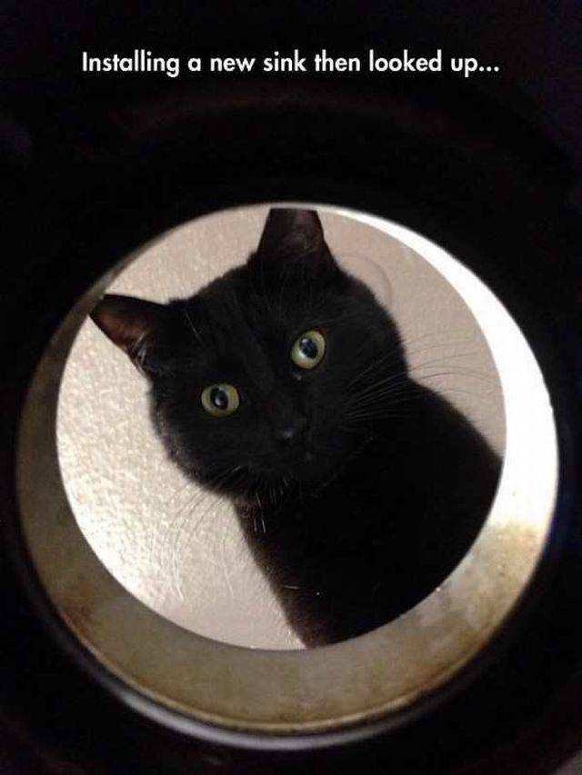 daily picdump 96 pics 30.html - 96 HD Photos | Premium Gallery 2017