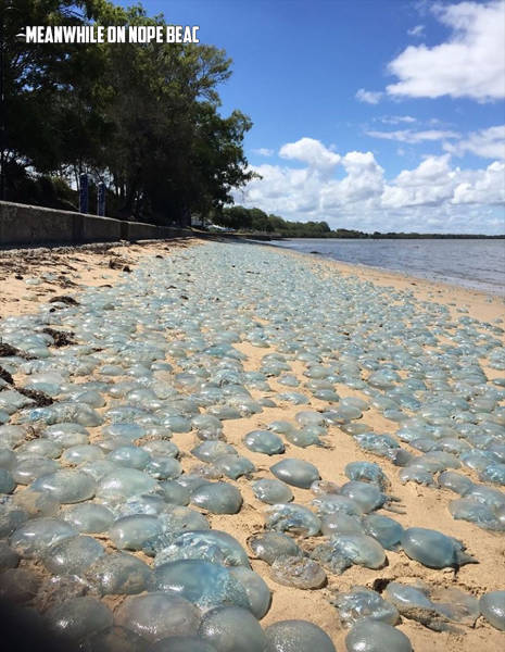 morning picdump 50 pics 2.html - 50 HD Photos | Premium Gallery 2017