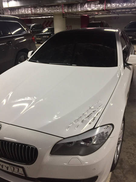 morning picdump 50 pics 2.html - 50 HD Photos | Premium Gallery 2017