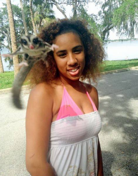 daily picdump 102 pics 2.html - 102 HD Photos | Premium Gallery 2017