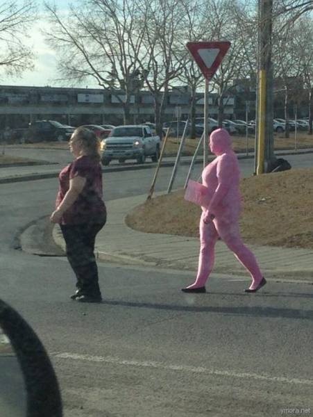 daily picdump 102 pics 2.html - 102 HD Photos | Premium Gallery 2017