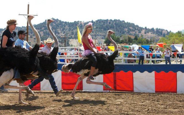 daily picdump 102 pics 2.html - 102 HD Photos | Premium Gallery 2017